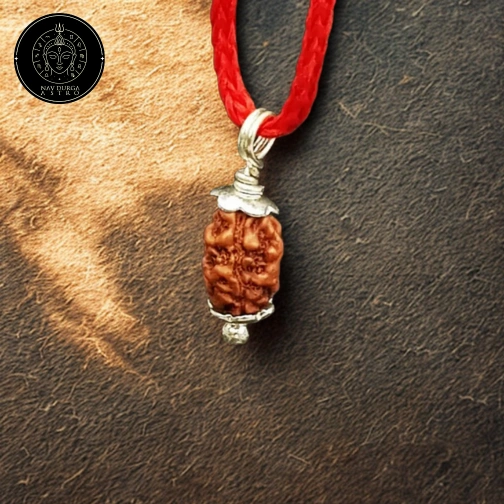 4 Faced Rudraksha - Nepal